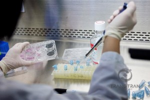 Azulene có gì đặc biệt? 7 công dụng tuyệt vời khiến làn da “mê mẩn”!