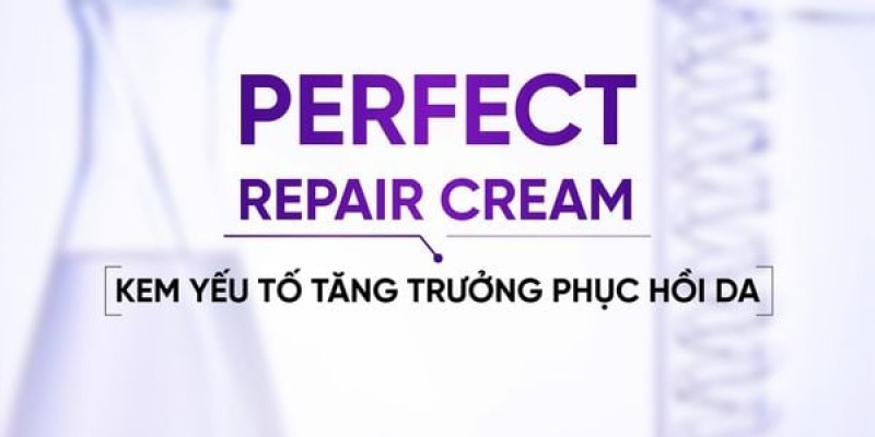 Review sản phẩm Perfect Repair Cream - Giải pháp phục hồi da tổn thương hiệu quả nhất hiện nay